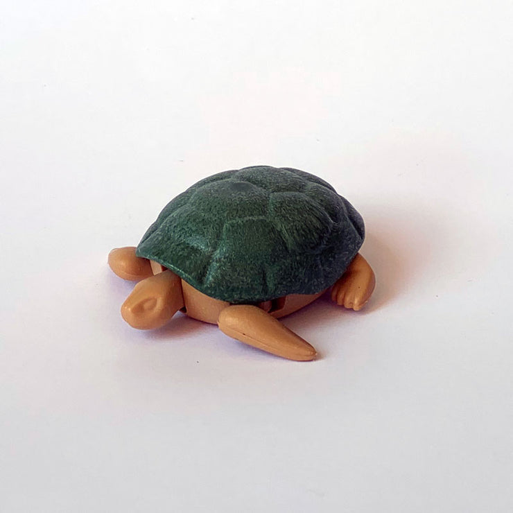 Tortuga Verde Adulta Playmobil
