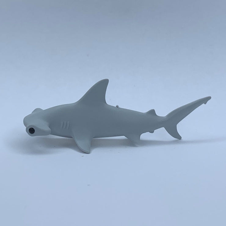 Tiburón martillo bebé
